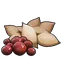 Berry Seeds Palworld icon