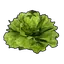 Lettuce Palworld icon