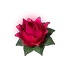 Power Lotus (S) Palworld icon