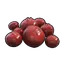 Red Berries Palworld icon