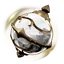 Sol Sphere Palworld icon