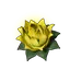 Stamina Lotus (S) Palworld icon